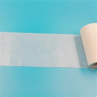 2 ইঞ্চি মেডিকেল পেপার টেপ